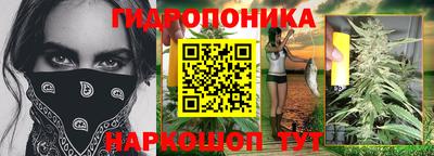 индика Владимир