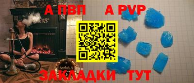 прущие грибы Вышний Волочёк