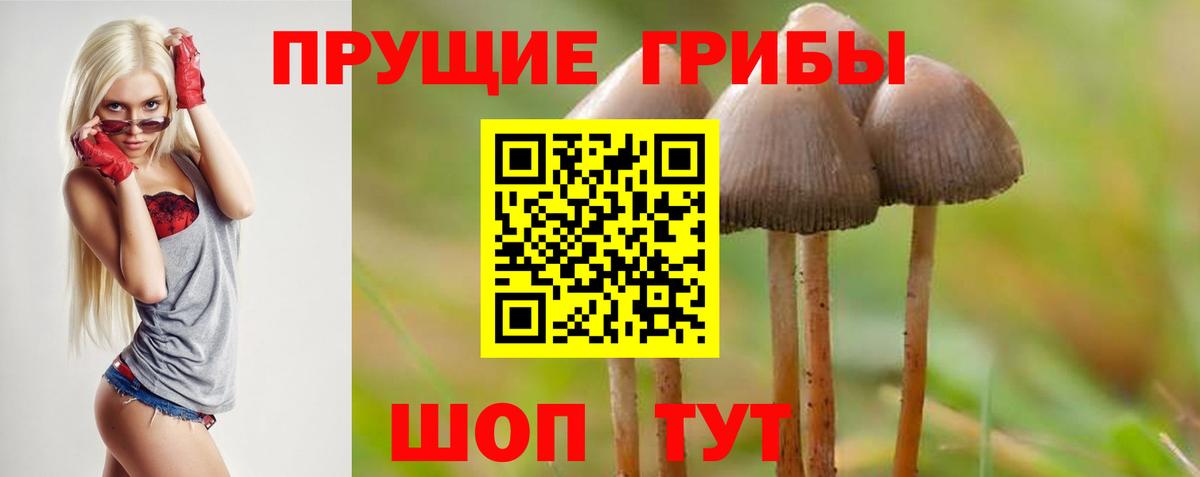 сколько стоит  Вход с VPN  Бердск  Галлюциногенные грибы Psilocybe 